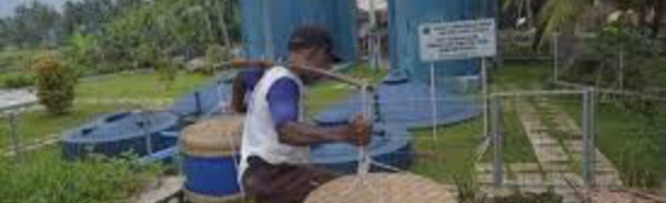 Dans un village d'Indonésie, du jus de tofu transformé en électricité verte