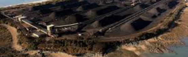 Australie: les coraux aussi menacés par les particules de charbon