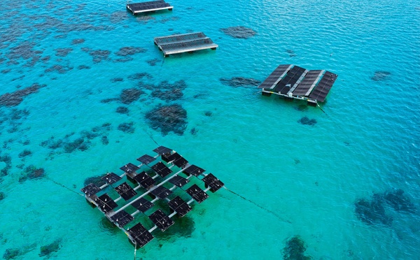 Des panneaux solaires pour sauver le corail