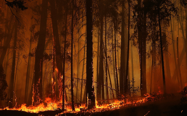 El Niño pourrait revenir en 2026 et réchauffer encore plus la planète