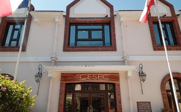 Emploi local dans la fonction publique : feu vert prudent du Cesec