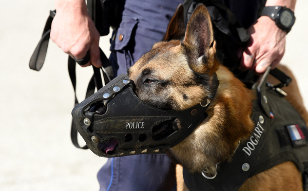 Seine-Saint-Denis: fin des recherches bénévoles pour Madoua, quatre ans, disparu en bord de Marne