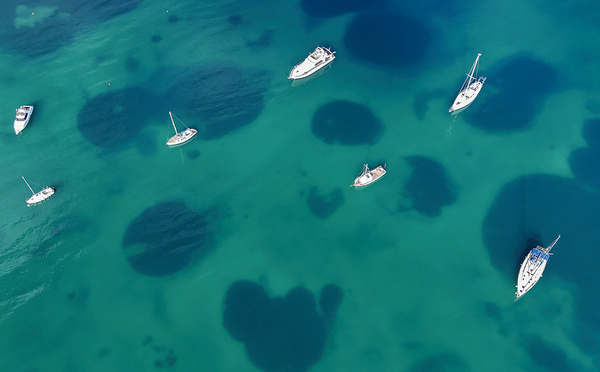 La Grèce se met à l'écomouillage pour protéger les herbiers des fonds marins
