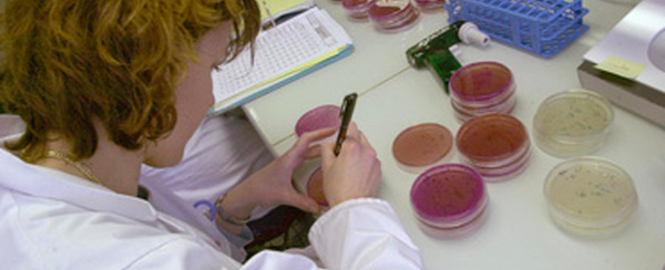 Listériose: 12 cas, dont 2 mortels, en lien avec des charcuteries d'une entreprise de la Drôme