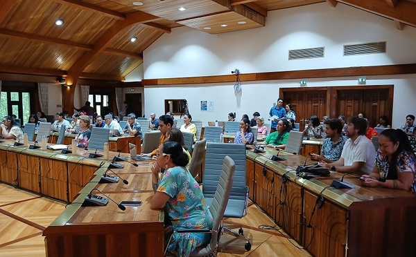 Réseaux sociaux : protéger les mineurs se heurte aux limites du Pays