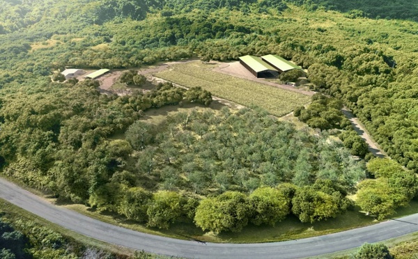 Taputapuātea opposé au CET de Faaroa