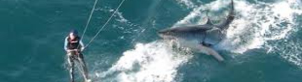 N-Calédonie: un kitesurfeur attaqué par un requin à Nouméa