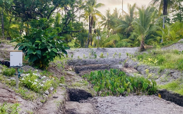 ​Un guide de restauration des maite