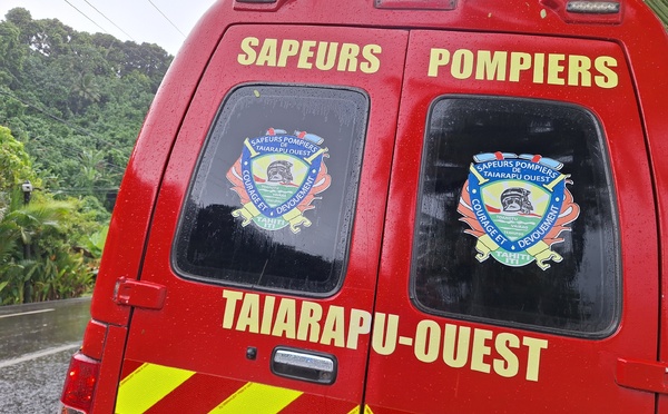 Vairao : un enfant mortellement mordu par un chien