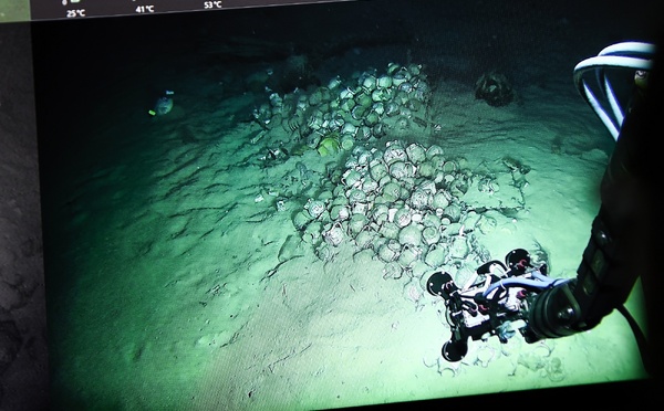 Une épave "unique" du XVIe siècle découverte au large de la Suède