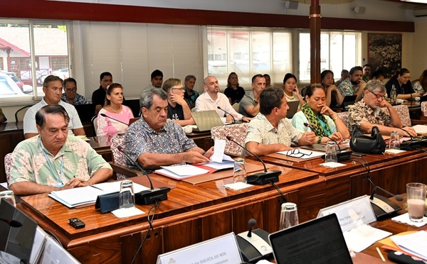 RNS : Brotherson joue son “49.3” face à une commission vent debout