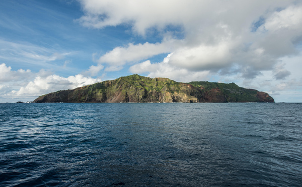 ​Hantavirus : l'américaine cas contact a voyagé avec sept personnes vers Pitcairn