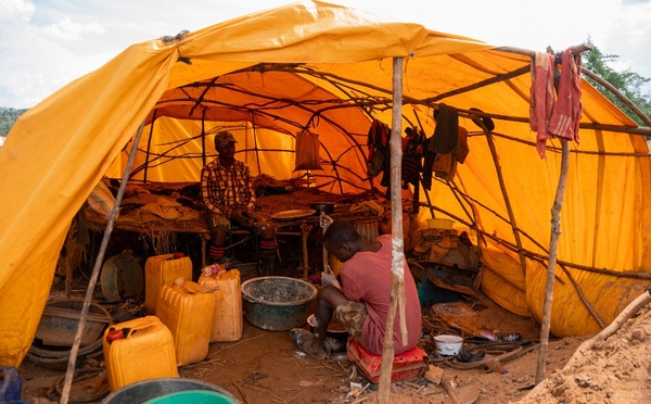 Ebola: les vaccins et traitements en développement contre l'épidémie