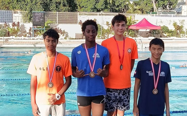 Natation – Une Web Confrontation animée