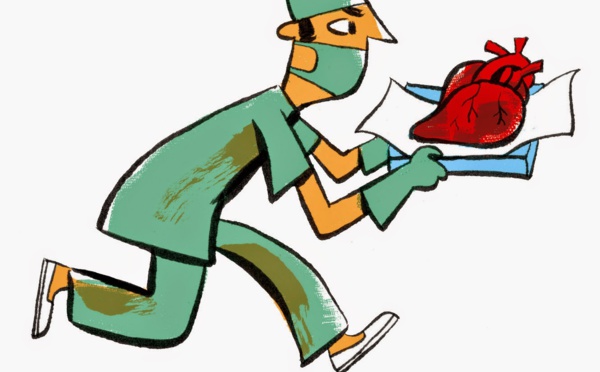 Page enfant : Une journée pour réfléchir au don d’organes et à la greffe