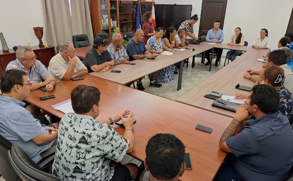 Les tāvana font bloc pour les urgences à Taravao