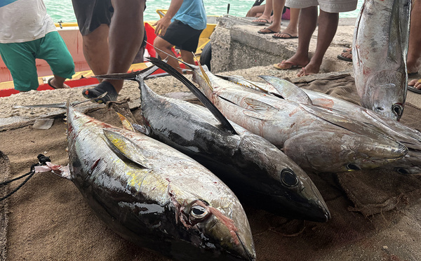 Une pêche au pōito réussie à Hao