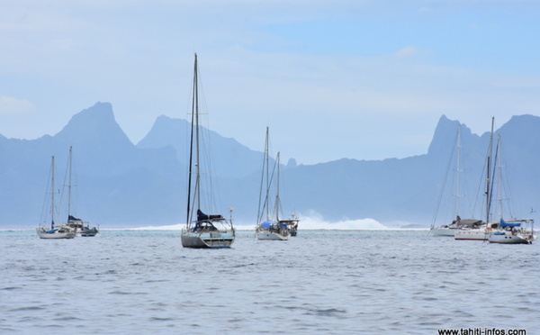 Mouillage à Moorea : le tribunal rappelle le Pays à l'ordre