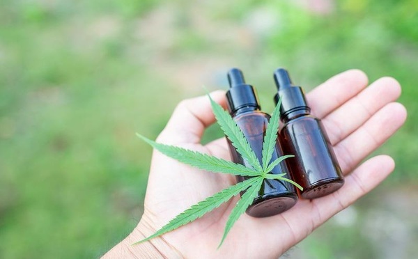 Cannabis thérapeutique : le “top départ” attendra encore