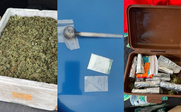 ​Cocaïne, ice et paka : un réseau démantelé