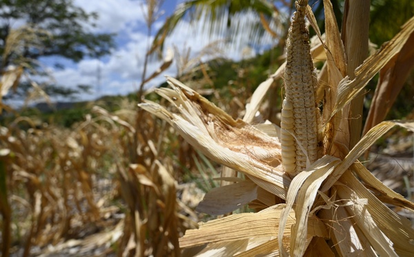 ​La Californie déclare l'état d'urgence face à l'arrivée d'El Nino