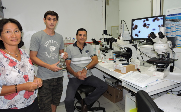 Ciguatéra : une situation "préoccupante"