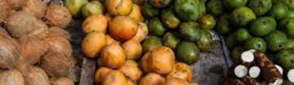 L'agriculture ultramarine face aux normes françaises et européennes: des "aberrations"