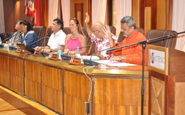 Politique familiale : le CESC pour un plan d'action