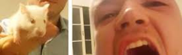 Un Australien arrache la tête d'un rat avec les dents