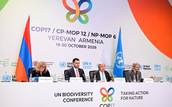 ​Climat: le monde vers un réchauffement de 2,6°C, mais il est encore temps d'agir, selon l'ONU