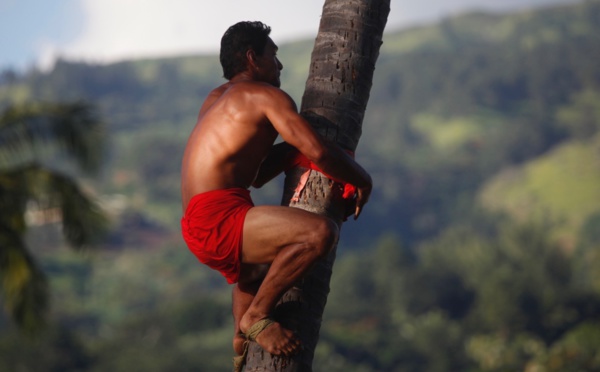 Sports Traditionnels – Heiva Tu’aro 2016 : Tainui Lenoir « C’est ma mère qui m’a appris à monter au cocotier »
