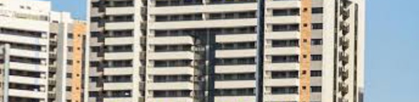 JO-2016 - L'Australie revient au Village olympique et y installe un kangourou