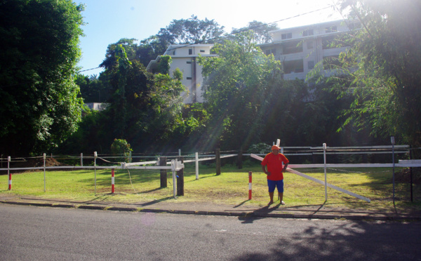Pirae : Un pâturage pour un terrain de volleyball ?