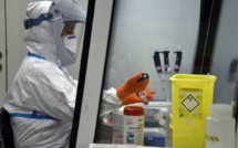 Une substance prometteuse pour traiter trois maladies tropicales (étude)