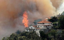 Madère, la "perle de l'Atlantique", frappée par des incendies meurtriers