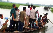 Bangladesh : un éléphant en détresse secouru après avoir parcouru 1.000 km