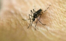 Zika : les Etats-Unis déclarent l'état d'urgence sanitaire à Porto Rico