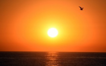 Juillet a été le mois le plus chaud jamais enregistré