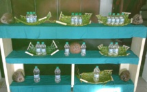 Huile vierge de coco : un avenir pour le fenua ?