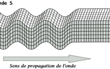 Première détection d'une onde sismique S après un micro-séisme