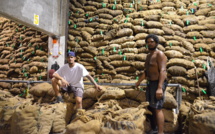 W. Vanizette confirmé à la tête de la Caisse de soutien au coprah