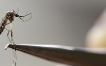 Etats-Unis: les dons de sang seront testés pour le Zika, signe de l'ampleur de l'épidémie