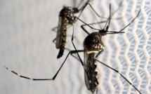 Une quarantaine de cas de transmission locale du virus Zika à Singapour (gouvernement)