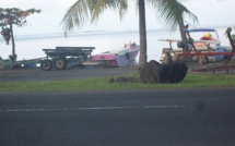 Polémique autour du site du Petit Mousse à Papara