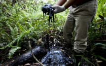 L'Equateur commence à exploiter du pétrole dans une réserve écologique