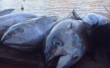 Un challenge culinaire destiné aux adolescents marquisiens