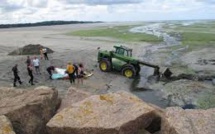 Algues vertes: des associations s'interrogent après la mort d'un joggeur dans la vase en Bretagne