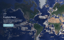 Une nouvelle application en ligne va permettre de surveiller la pêche industrielle