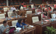 UPLD et Tahoera'a votent contre le rétablissement de la DGA à 10,8 milliards