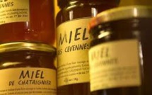2016, nouvelle année "catastrophique" pour la production de miel, avec 9.000 tonnes (Unaf)